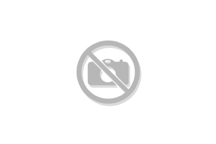 Dataq DADiSP